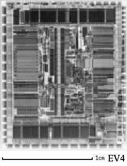 Micrograph of EV4