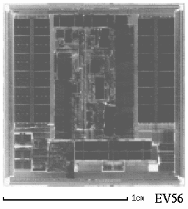 Micrograph of EV56