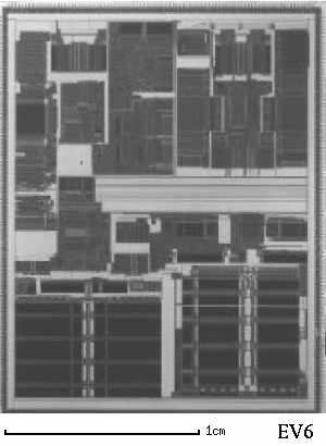 Micrograph of EV6