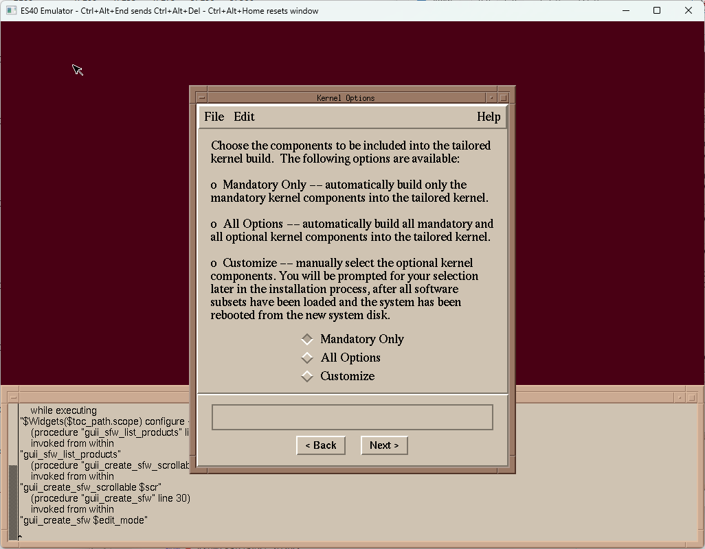 step 6: kernel options