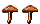 2 mushrooms