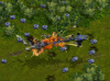 UEF transport explodes