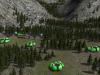 forest2