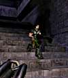 awesome shadows - click for larger image