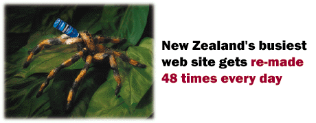 New Zealand's busiest web site gets re-made 48 times every day