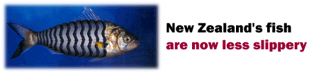 New Zealand's fish are now less slippery