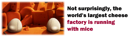 Not surprisingly, the world's largest cheese factory is running with mice