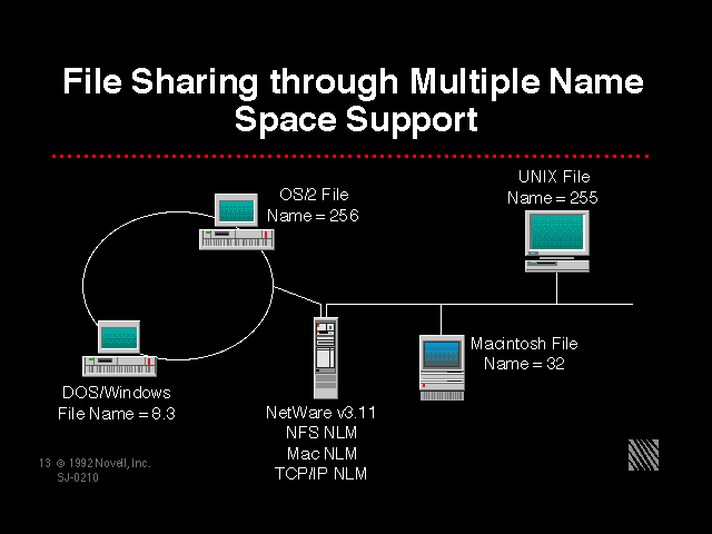 File Sharing through Multiple Name Space Support